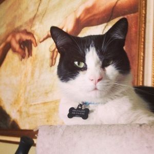 Meet your Posher, Fabiola